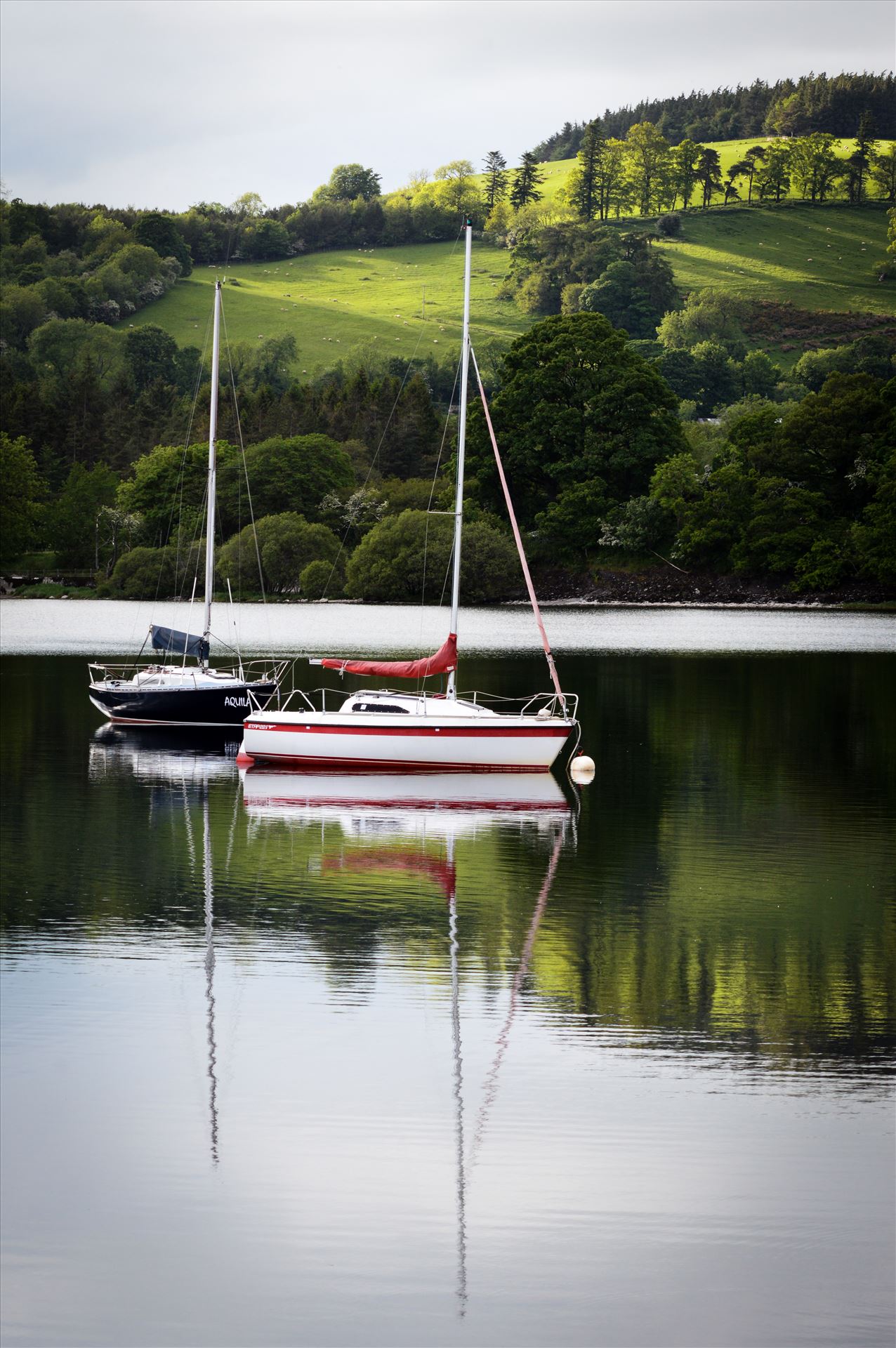 Reflections on Lake Ullswater - Reflections on a Lake by AJ Stoves Photography
