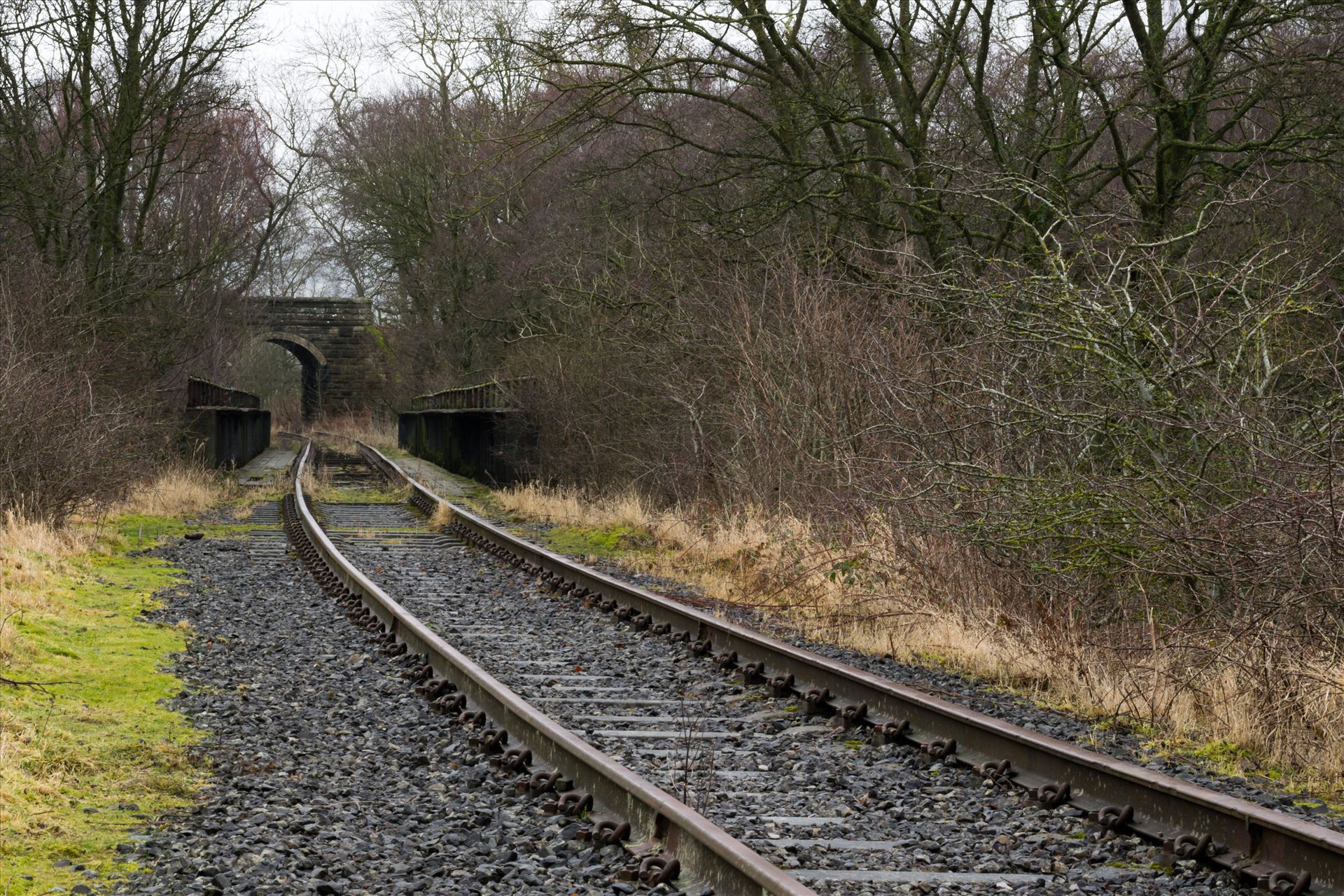 Abandoned Railway Bridge On A Curve - Taken on 11/01/18 near Stanhope by AJ Stoves Photography