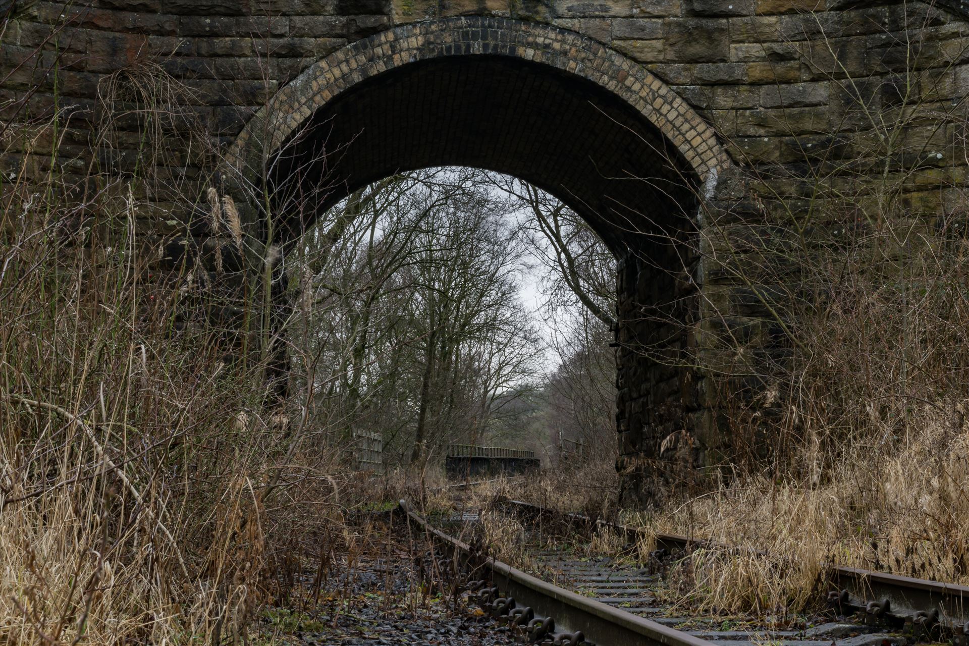 Abandoned Railway Bridge and Tunnel - Taken on 11/01/18 near Stanhope by AJ Stoves Photography