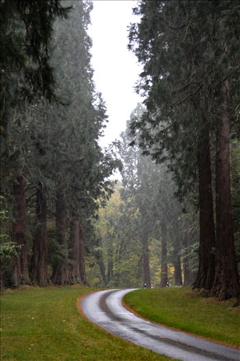 This is the sight you see driving up to Minsteracres retreat centre