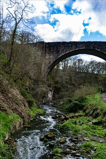 Taken close to Tanfield Railway in the summer of 2017